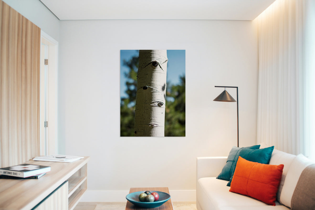 2728158 :: The Forest Has Eyes