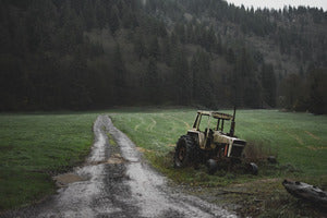 2728356 :: Tillamook