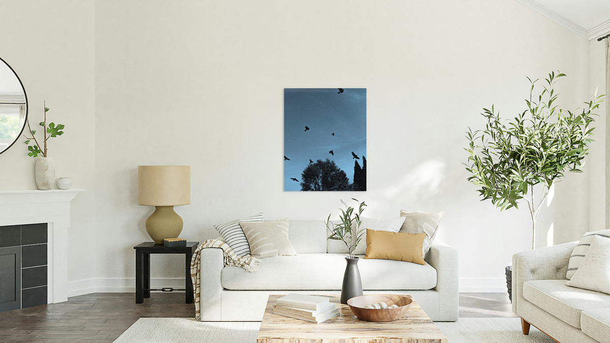 2728349 :: Soar