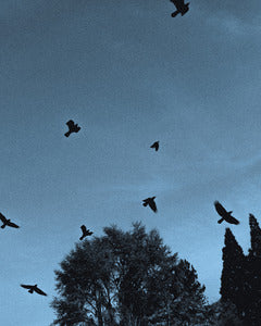 2728349 :: Soar