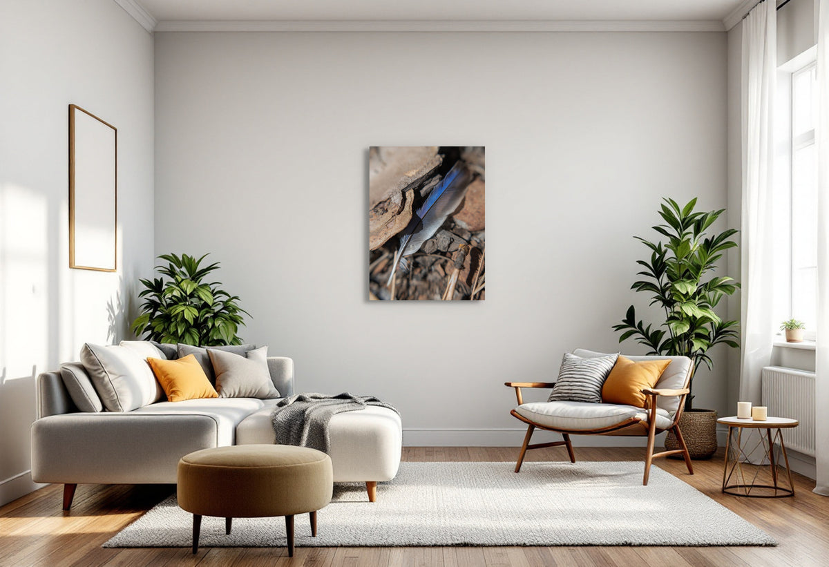 2728415 :: Pluma