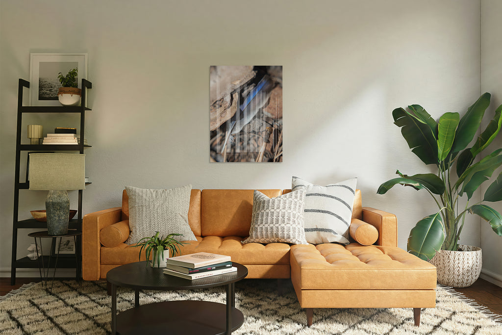 2728415 :: Pluma