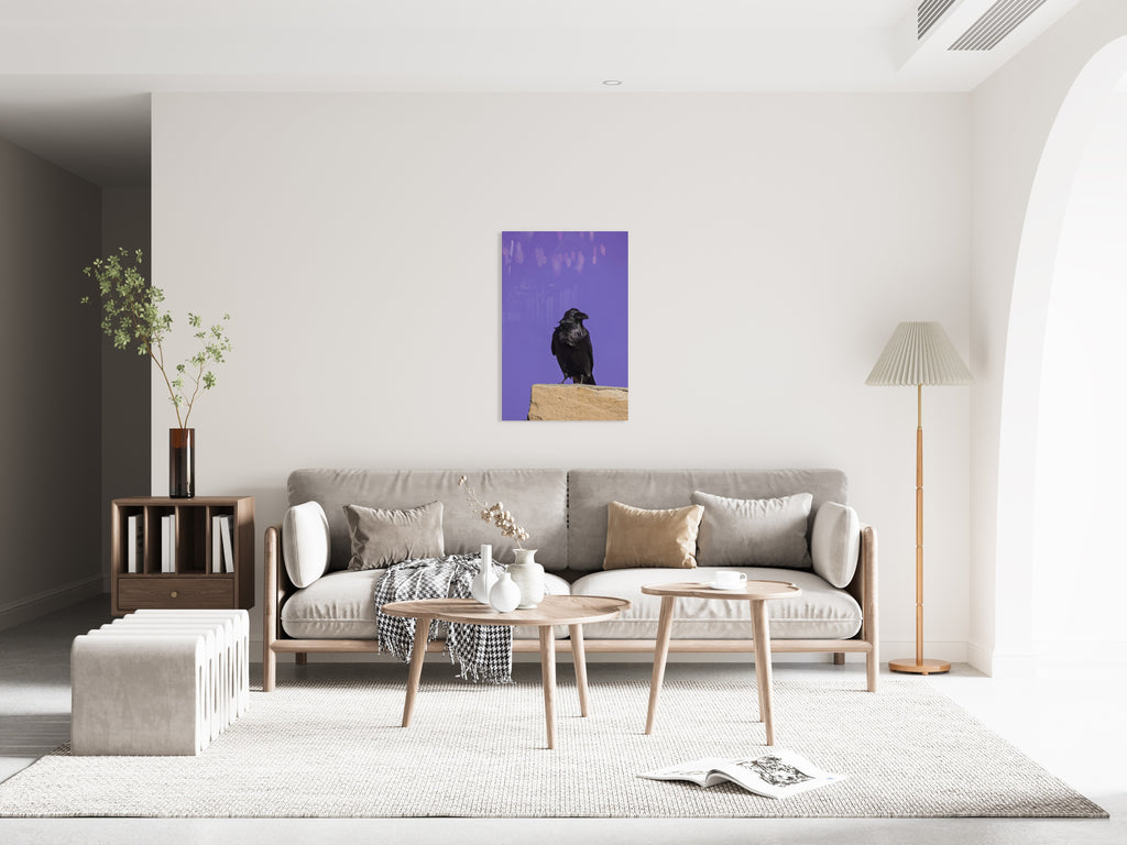 2729254 :: Raven Raven