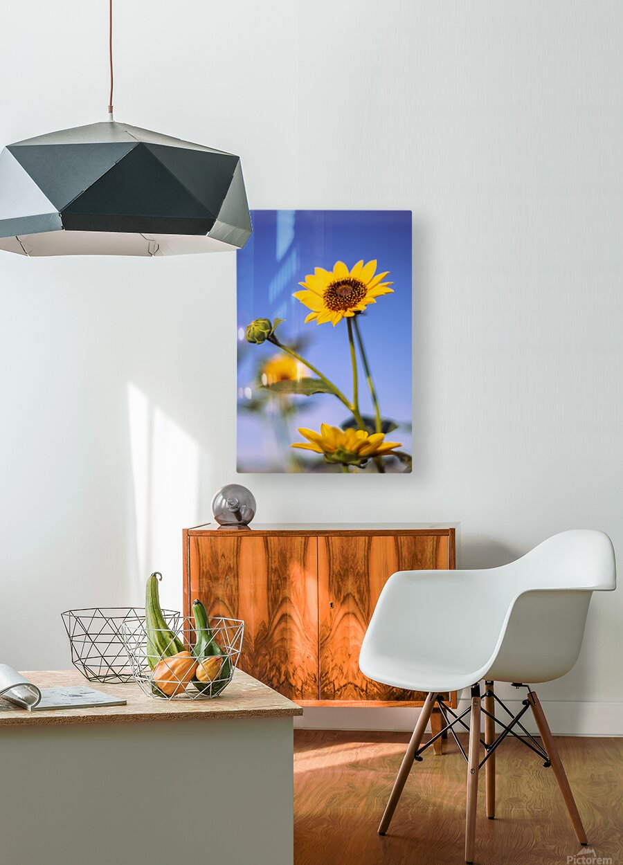 2740176 :: HD Sublimation Metal Print
