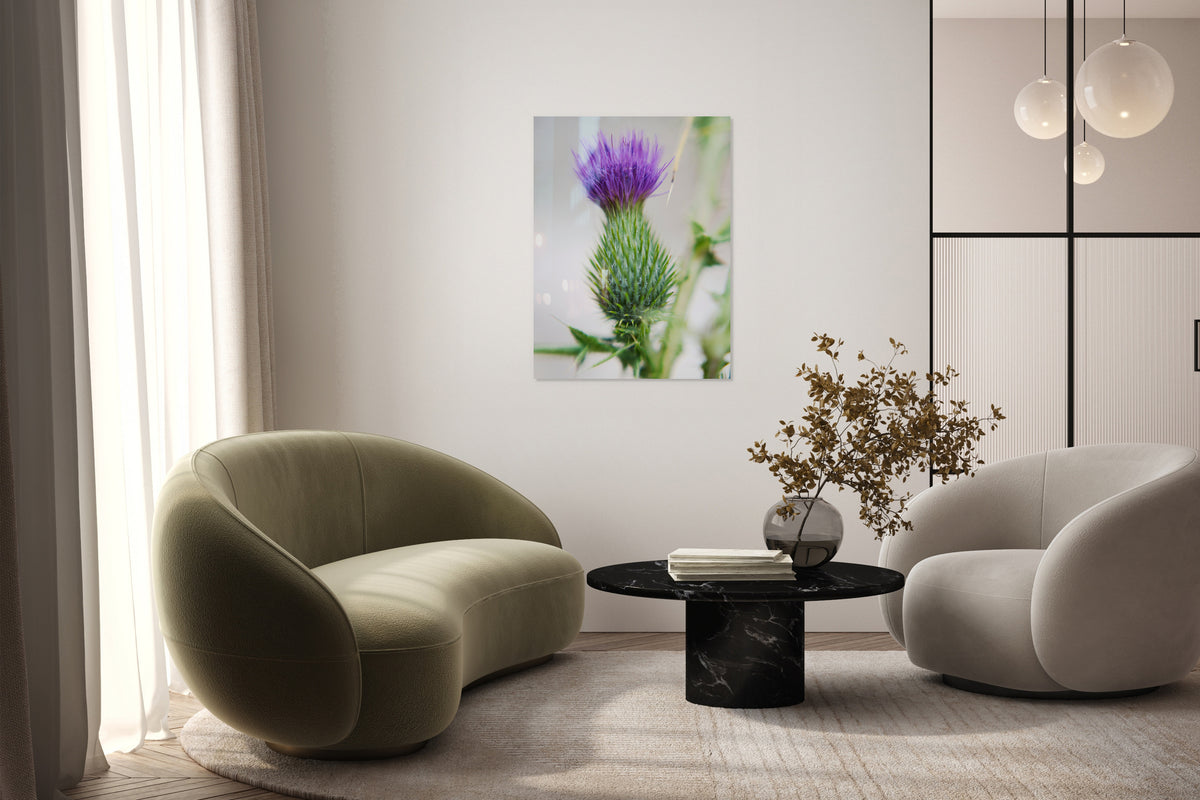 2728413 :: Purple Thistle
