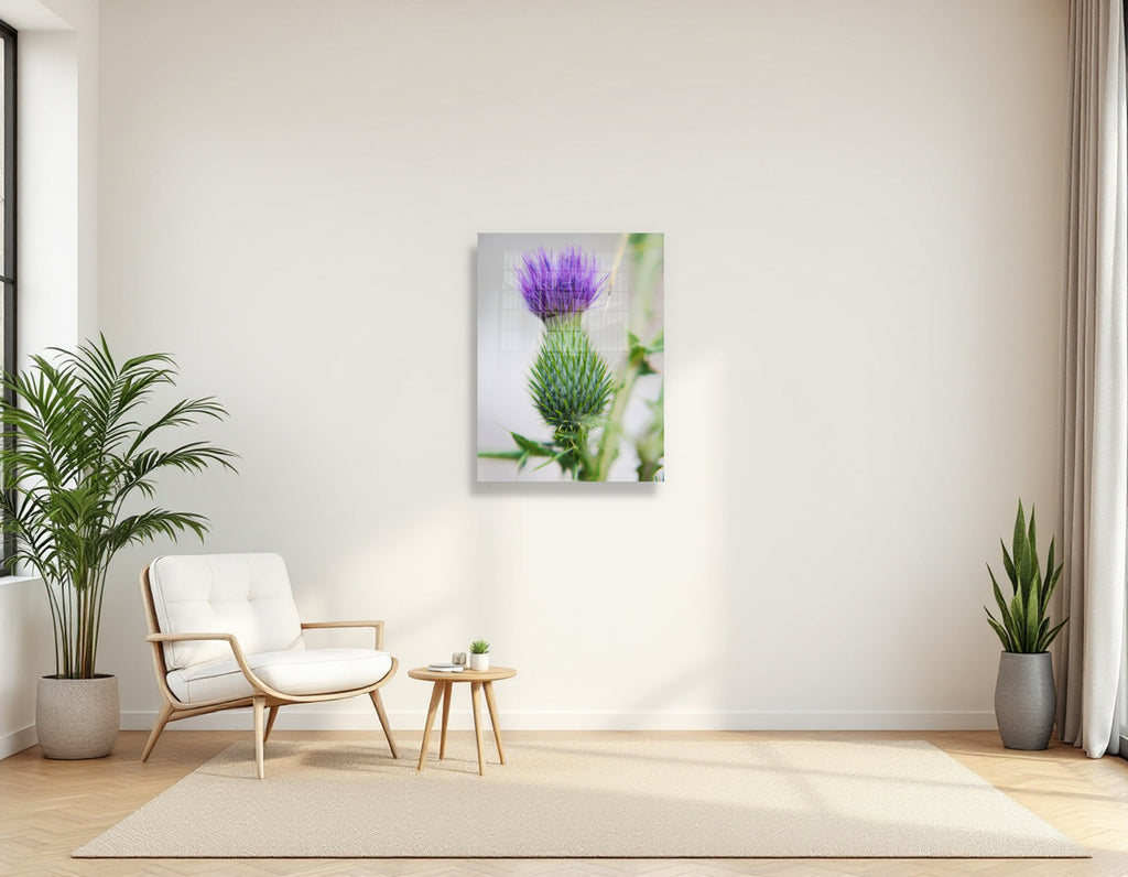 2728413 :: Purple Thistle