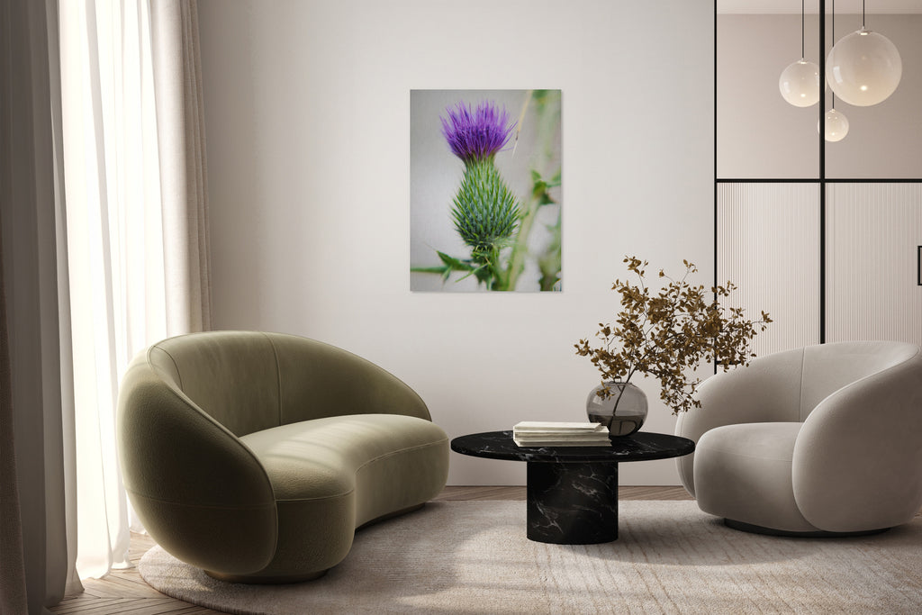 2728413 :: Purple Thistle