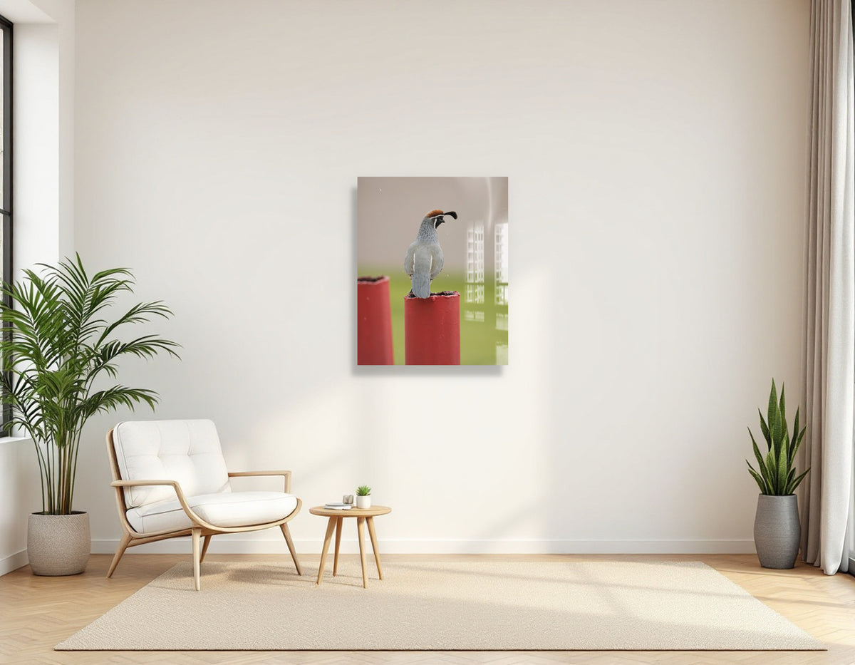 2729253 :: Gambel Your Life Away