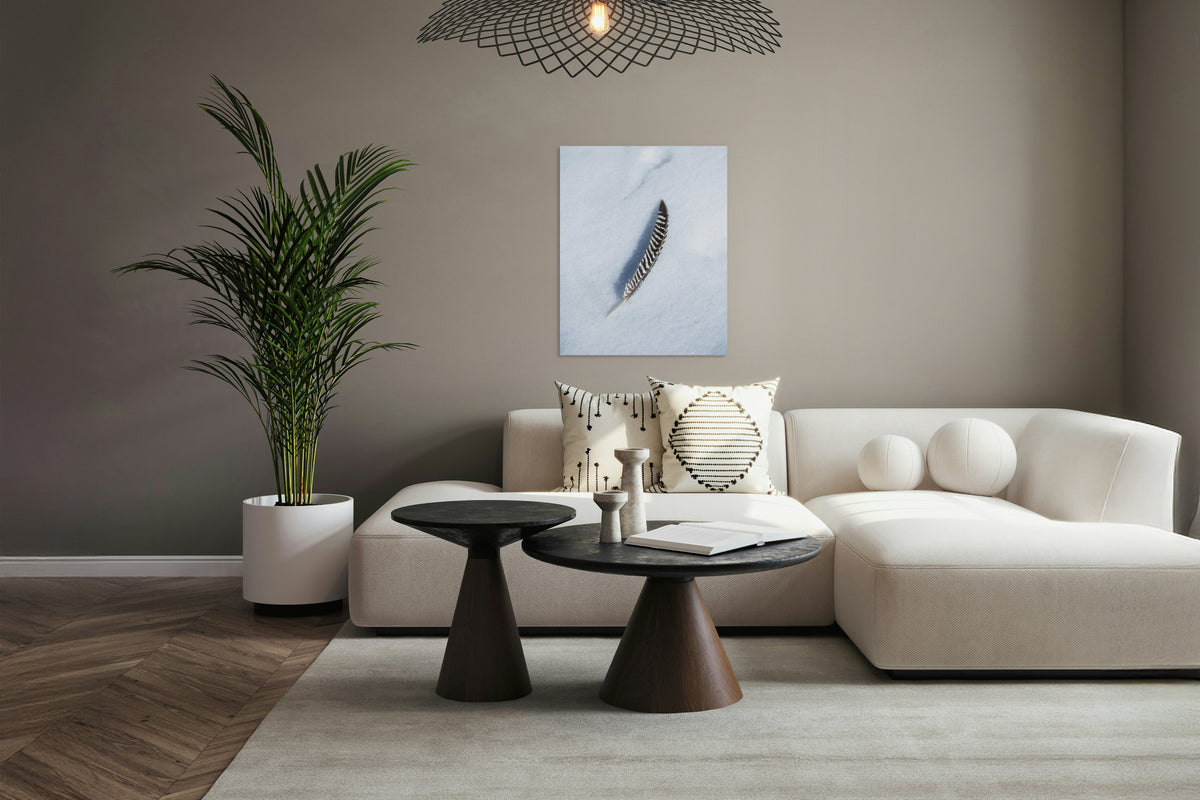 2729260 :: One Feather Short