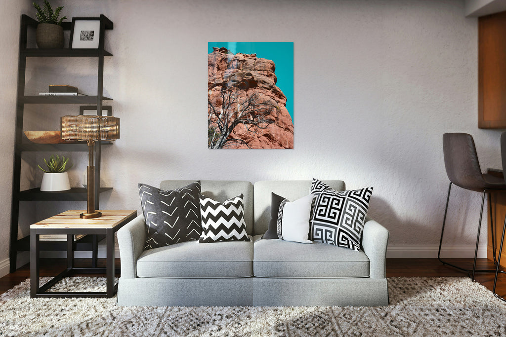 2742319 :: Desert Resilience