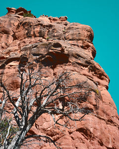 2742319 :: Desert Resilience