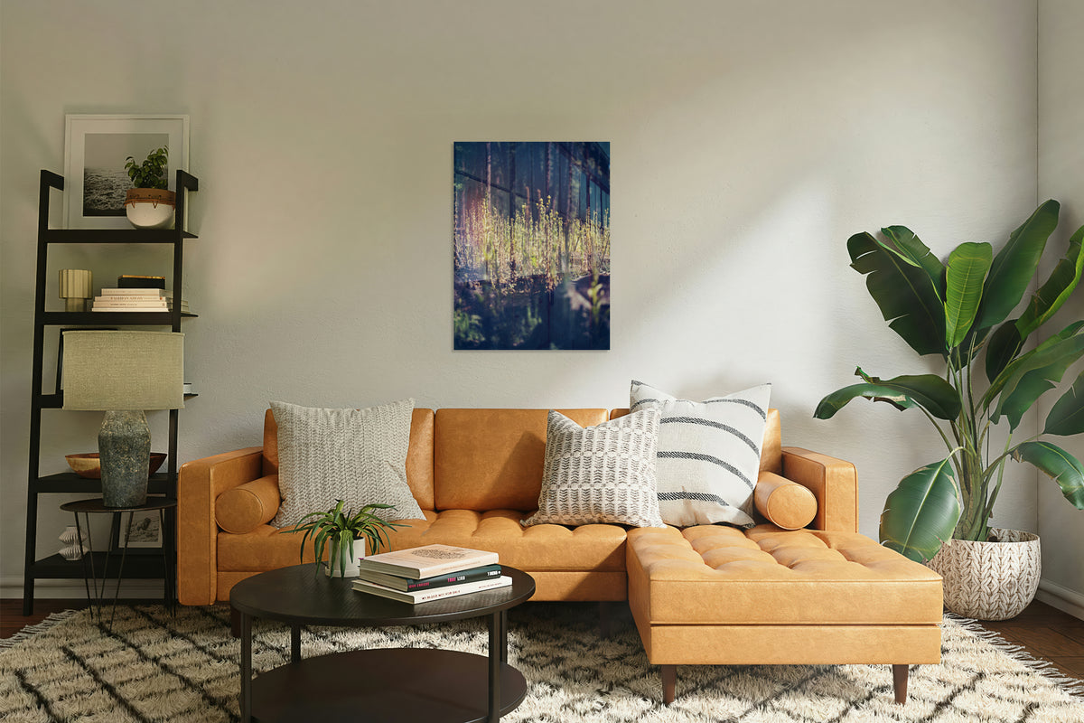 2728412 :: Forest Undergrowth